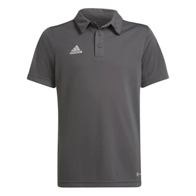 Image of adidas Unisex Kids Entrada 22 Polo Shirt, Team Grey Four, 5 6 Years