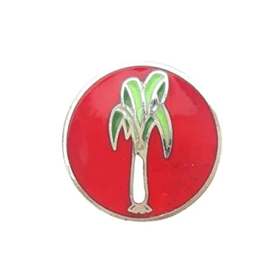 Image of Wales National Leek Small Round Enamel Lapel Pin Badge T310