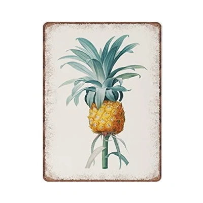 Image of DAIERCY Tropical Fruit Tin Signs, Pineapple Wall Art, Illustration, Funny Vintage Metal Sign Plaqu Poster Art Pub Bar Kitchen Garden Bathroom Home Decor, 30x40 cm
