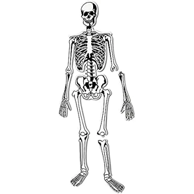 Image of Learning Resources Skeleton Foam Floor Puzzle