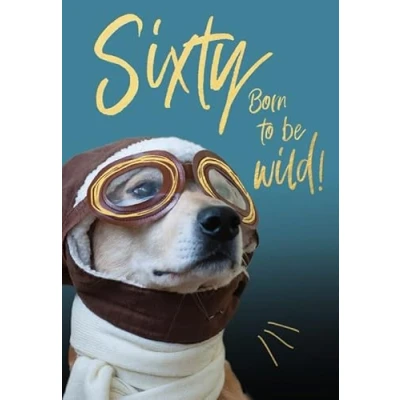 Image of Abacus Cards Mens 60th Milestone Birthday Card Age 60 Born to be Wild! Aircraft Pilot Dog Embossed with Foil Eco Friendly and Recyclable