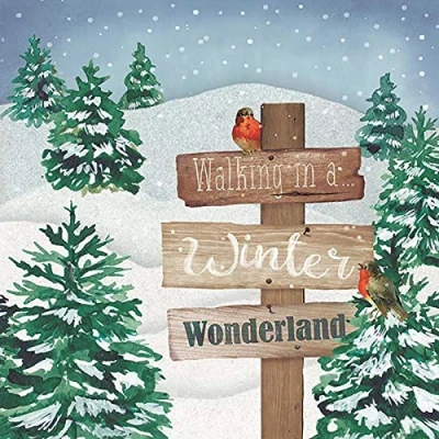 Image of Ambiente Christmas Robin Napkin 33 Centimeter Walking in a Winter Wonderland Pack of 20