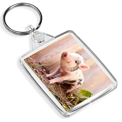 Image of Beautiful Piglet Keyring IP02 Micro Pig Farm Animal Baby Fun #15589