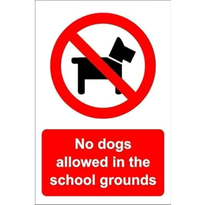 Image of No dogs allowed in the school grounds 1mm flexible Plastic sign (200mm x 150mm)