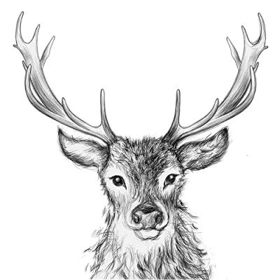 Image of 20 Napkins Paul, the Deer Animals Forest Hunting Hunter Table Decoration Decoupage Napkin Technology 33 x cm