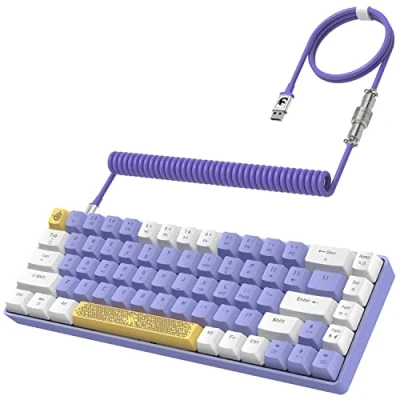 Image of YINDIAO T8 60% Mechanical Gaming Keyboard,68 Keys TKL Compact Layout Mini Wired Keyboard,18 Chroma RGB Backlit,Blue Switch,Anti ghosting,Pro Custom Coiled USB C Cable,for PC,Mac,PS4,XBOX Purple