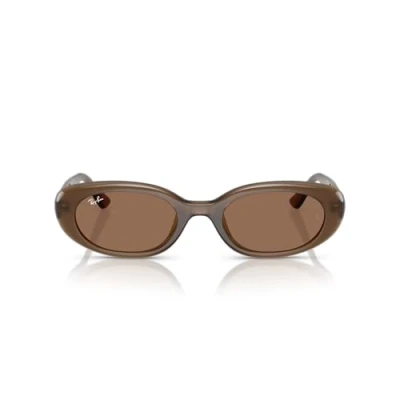 Image of Sunglasses Ray ban Rb4441d col. 677973 Unisex Pillow Marrone