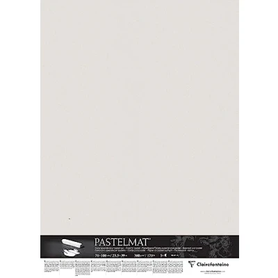 Image of Clairefontaine Ref 296020C Pastelmat Card Sheets (Pack of 5 Sheets) 360gsm 70 x 100cm Light Grey Colour Specially Formulated For Use With Pastels
