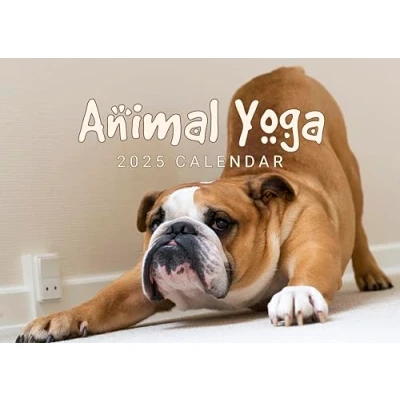 Image of evelay 2025 A4 Funny Animal Yoga Calendar Month to View A3 When Open Wall Family Planner Home Office Made in UK