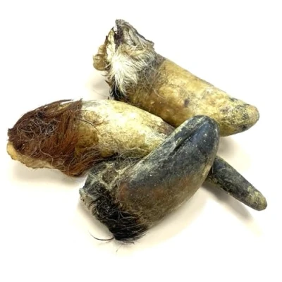 Image of Bulls Horns Extra Large 3kg Natural Dog Treats Chews (approx 8 11)