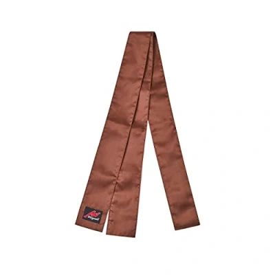 Image of Playwell Martial Arts Grading Satin Kung Fu Sash Brown