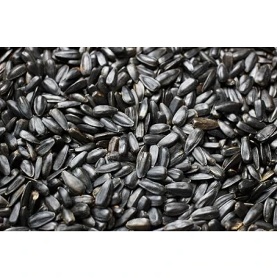 Image of 12.5kg Weterton Feeds Black Sunflower Seeds for Wild Birds