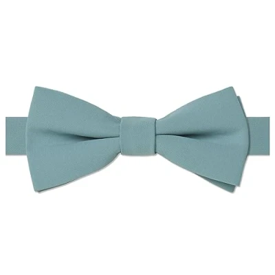 Image of Roco boys plain banded dusty sage dickie bow tie