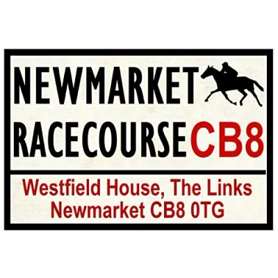Image of Inga Horse Racing Road Signs (Newmarket) Gifts Street Metal Tin Sign/Retro Decor Plaque 8X12 inch
