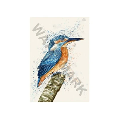 Image of Wee Blue Coo Kingfisher Watercolour Wall Art Print