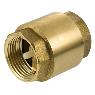 Image of 1/2&quot; Inch BSP Brass Check Non Return Valve Female with Plastic Insert