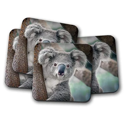 Image of 4 Set Koala Bear Coaster Australia Wild Cute Animal Australian #15050