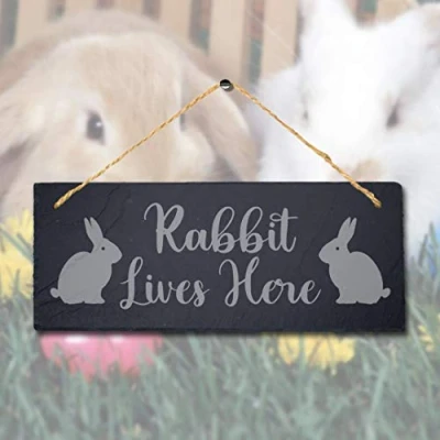 Image of Stukk Lives Here Laser Hanging Rabbit Bunny Home Sign, Natural Engraved Slate Stone Plaque, 30x12cm