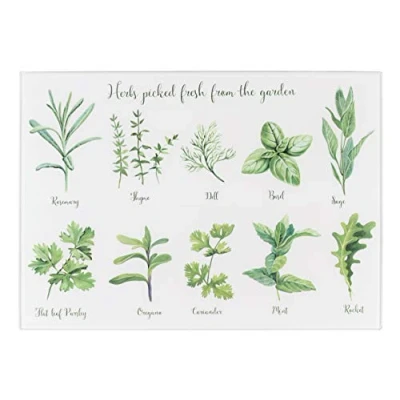Image of Tala Herbs Glass Worktop Saver
