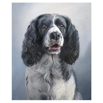 Image of PuPLUm Paint by Numbers for Adults Springer Spaniel Dog DIY Canvas Painting Kit Number Kit,40x50cm,Without Frame