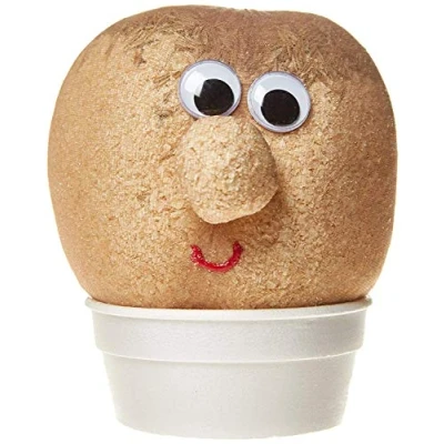 Image of Keycraft Mr Grass Head Toy