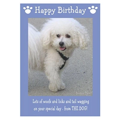 Image of Bichon Frise, Dog Birthday Card