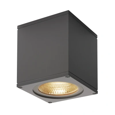 Image of SLV Big Theo LED outdoor ceiling lamp, anthracite