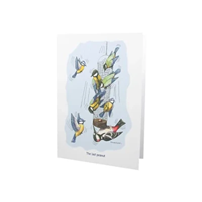 Image of Wild Birds Humour Cartoon A5 Funny Blank Greeting Card by Armand Foster