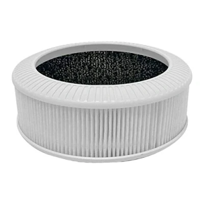 Image of QUEENTY True HEPA Filter Replacement Air Purifier for F006 (Filter)