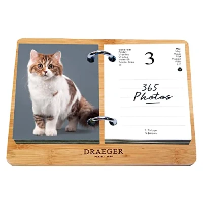 Image of DRAEGER PARIS Yvon Cats Ephemeris Diary Set January Dec 2024 Bamboo Base 365 Days Sheets Desk 7 Languages FSC® Certified Paper, Printed with Vegetable Inks