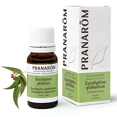 Image of Pranarôm Essential Oil Globular Eucalyptus (Eucalyptus globulus) 10ml