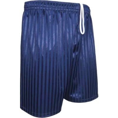 Image of ND Sports School Shadow Stripe PE Shorts for 15 16 Years, Navy Blue