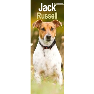 Image of Jack Russell Slim Calendar 2026