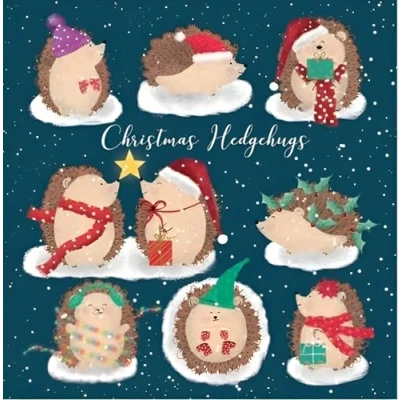 Image of Noel Tatt Charity Christmas Cards Pack of 10 with Snowy Hedgehogs Design Eco Friendly Xmas Multipack Envelopes