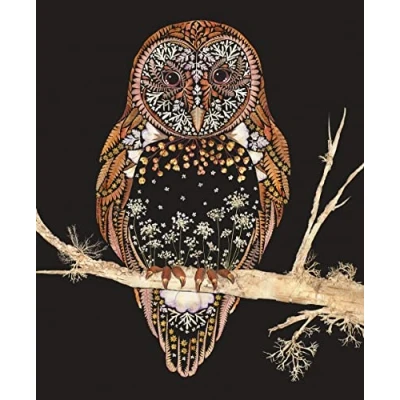 Image of Wild Press Barn Owl Blank Greeting Card with Envelope
