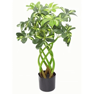 Image of Leaf Artificial Schefflera Arboricola Foliage Plant (Umbrella Tree), Mixed Materials, Bonsai Twist, 70cm