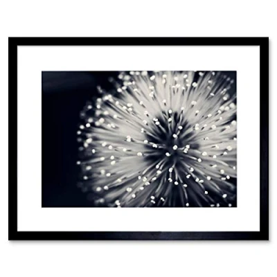 Image of Wee Blue Coo Nature Plant Flower Black White Beautiful Framed Wall Art Print