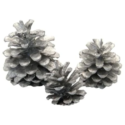 Image of 1kg Silver Christmas Decoration Austriaca Florist Fir Pine Cones 50 Approx