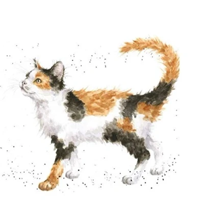 Image of Wrendale Designs Cat Print on White Square Canvas 20 Centimetre Calico