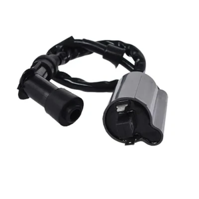 Image of Ignition Coil For Raptor 700 700R YFM700 YFM700R 2006 2007 2008 2009 2010 2011 2012 2013 2014 2015 2016 2017 2018 2019 Switch
