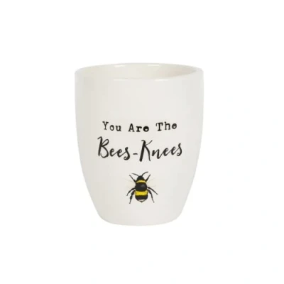 Image of something different Cheerful White Bee Adorned Ceramic Plant Pot 13cm x 11cm (1 Pc.) Heartwarming Gift with &#039;You are the Bees Knees&#039; Text Ideal for Teachers or Special Occasions