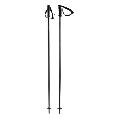 Image of HEAD Unisex Adult Multi Black Ski Poles, Black, 110
