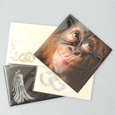 Image of Craft UK DL Cello Bags with Self Seal Strip Approx. 100