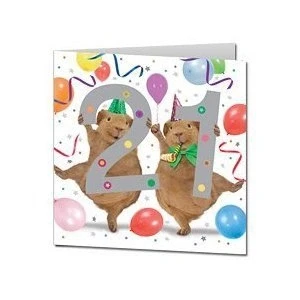 Image of Greetings Cards Guinea Pig Happy 21st Birthday square card 21 twenty one Crazy Gang Pigs