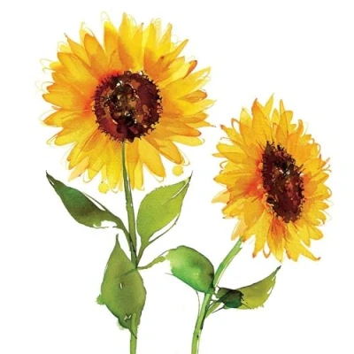 Image of 20 Napkins Flowers Two Sunflowers as Table Decoration Paper with Motif Also for Decoupage and 33 x cm