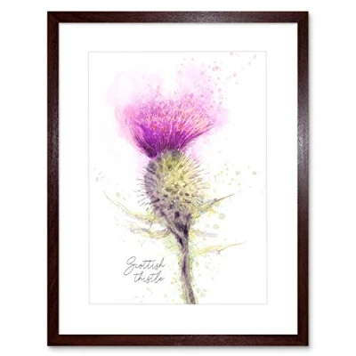 Image of Wee Blue Coo Scottish Thistle Flower Head Watercolour Scotland Framed Wall Art Print