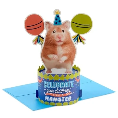 Image of Hallmark Paper Wonder Shoebox Funny Pop Up Birthday Card (Celebrate Like a Hamster)