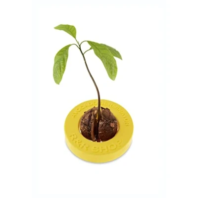 Image of R&amp;R SHOP Avocado Germinator Floating Pot for Germination, Seed Growth Kit, 100% Corn Plastic (Yellow)