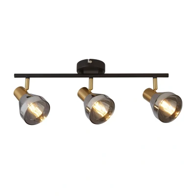 Image of Westminster 3 Light Spotlight Black, Satin Brass &amp; Smoked Glass