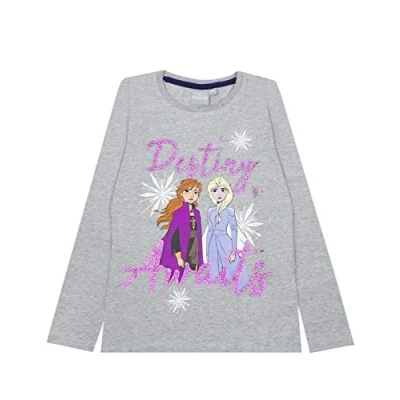 Image of Disney Frozen 2 Elsa &amp; Anna Destiny Awaits Girls Novelty Character Top Grey